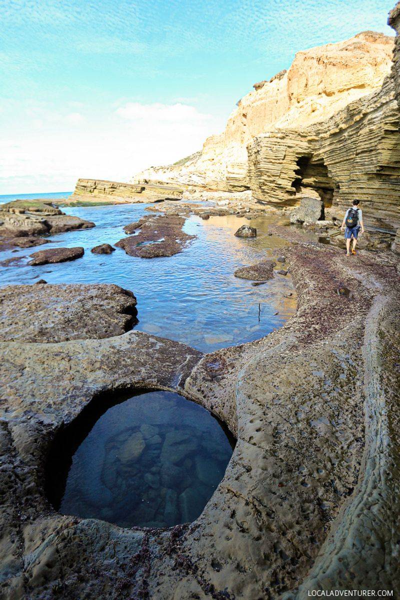 Cabrillo National Monument Tidepools (Point Loma)