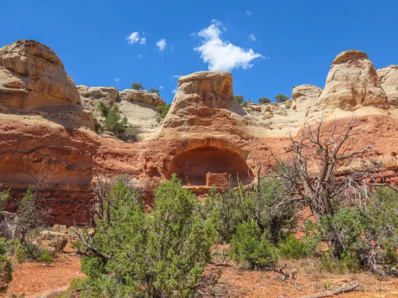 Canyons of the Ancients (Mesa Verde Alternative)