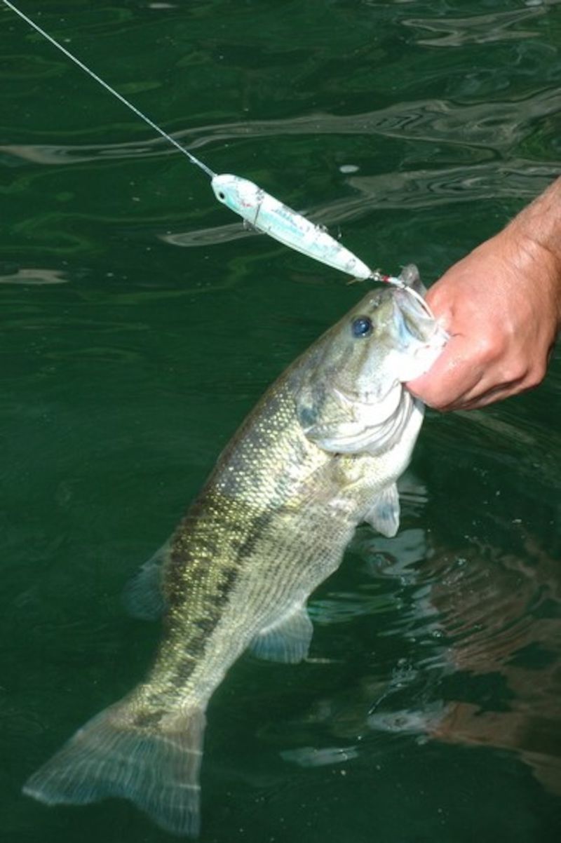 Top Angler Destination