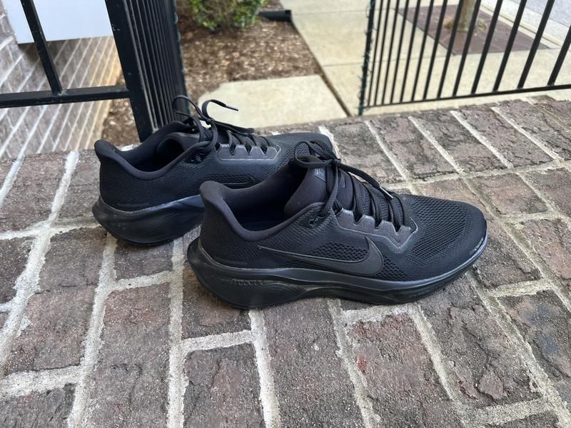 Nike Pegasus 41