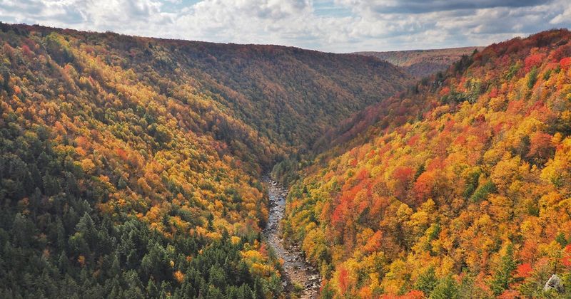 Pendleton Point Overlook — Blackwater Falls State Park