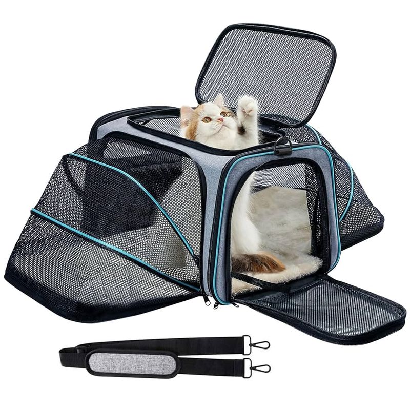 Soft-Sided Expandable Airline Carrier