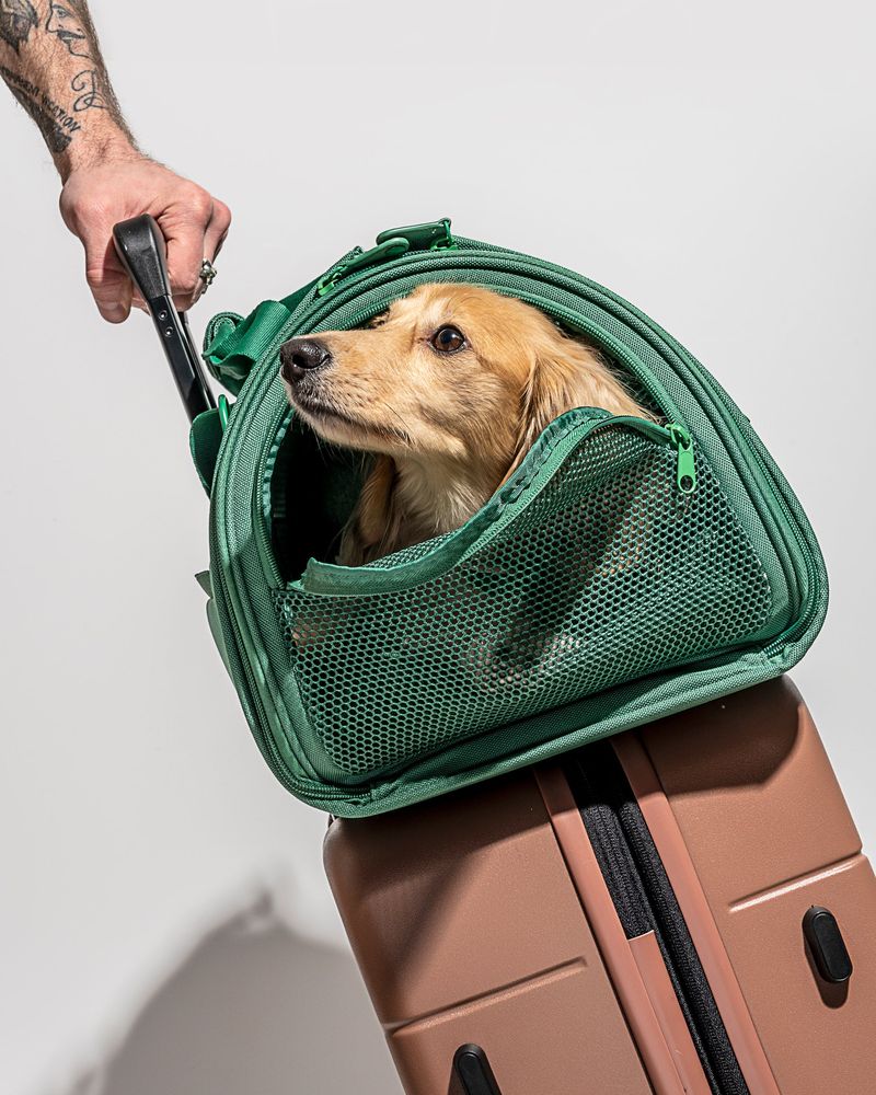 Compact Folding Leash