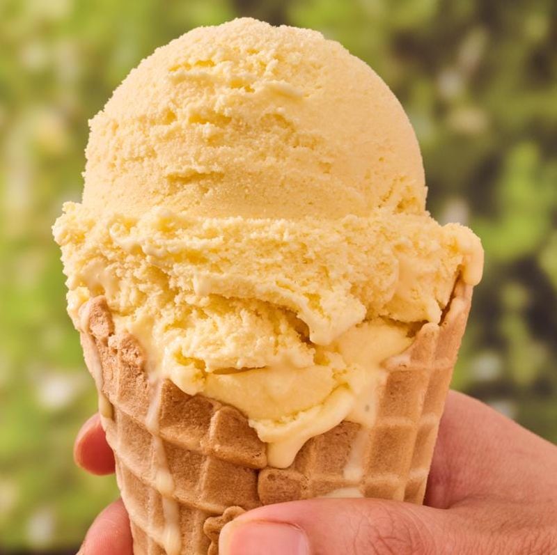 Sweet Corn Ice Cream