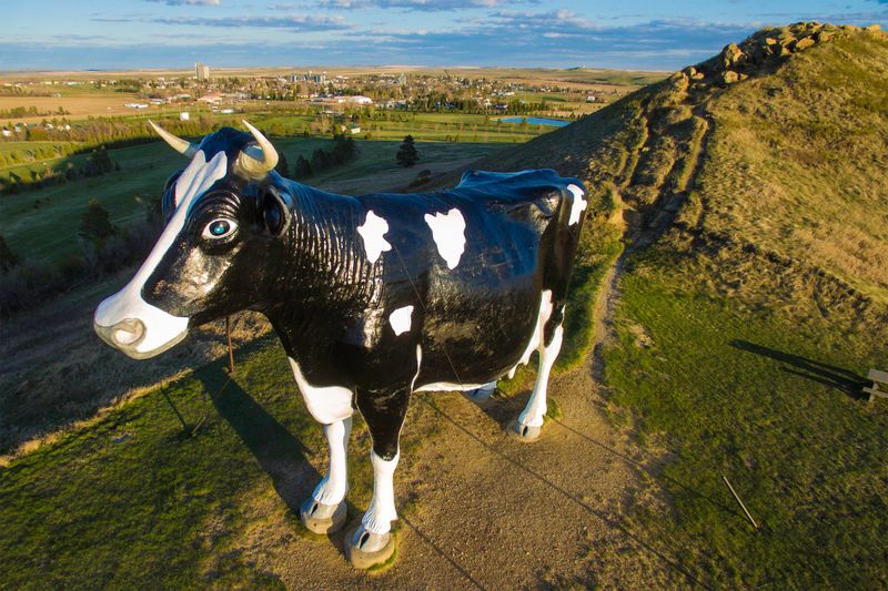 Salem Sue (The World’s Largest Holstein Cow)