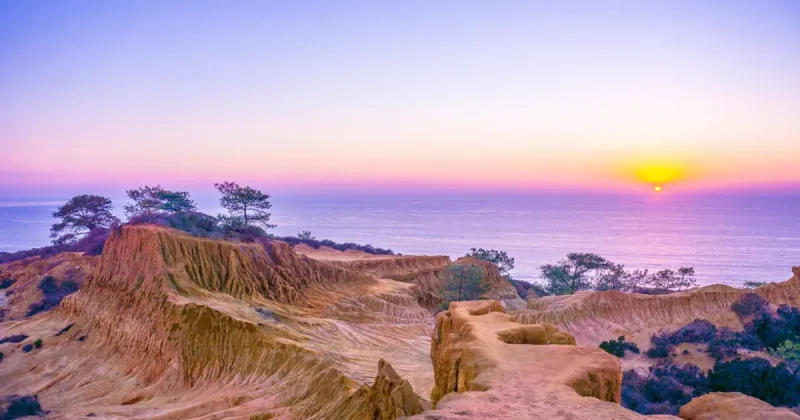 Torrey Pines State Natural Reserve (La Jolla/Del Mar)