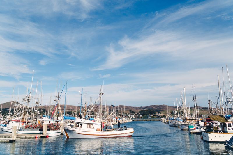 Bodega Bay (Sonoma County)
