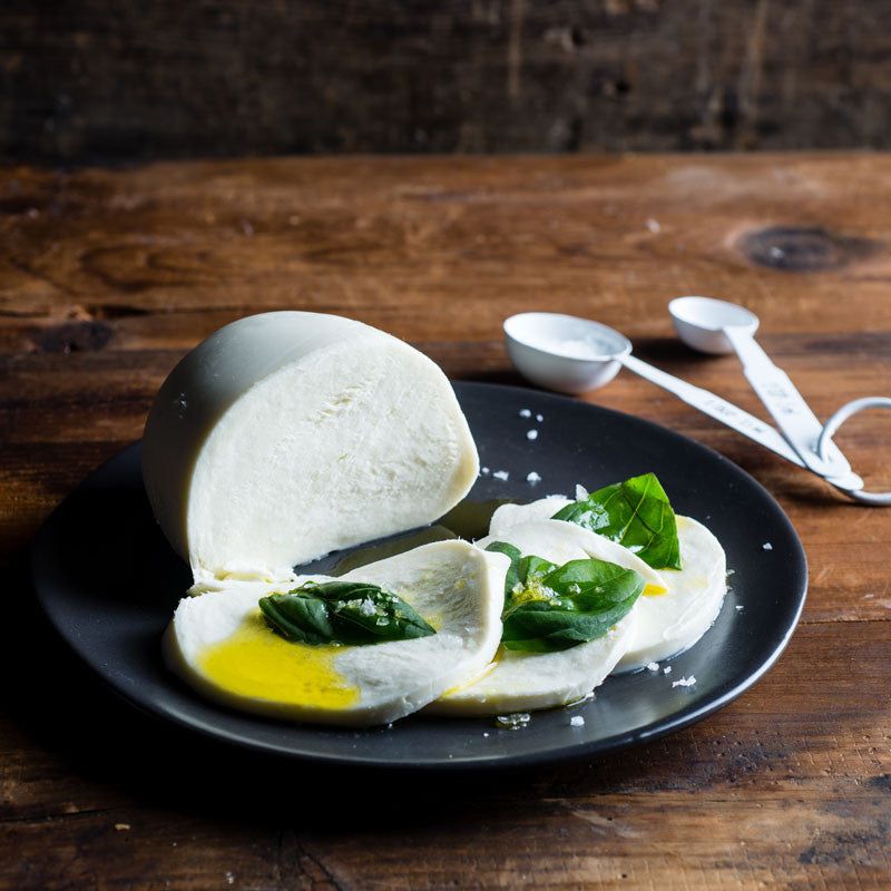 Mozzarella (fresh)