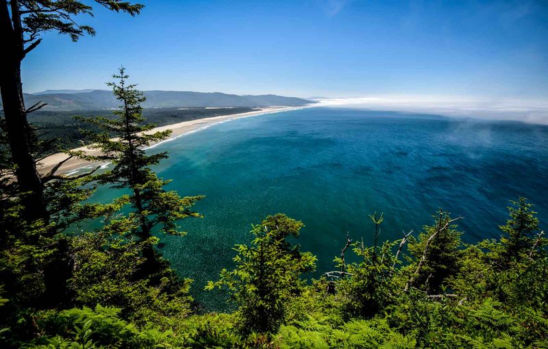 Cape Lookout - Whale Watching Paradise