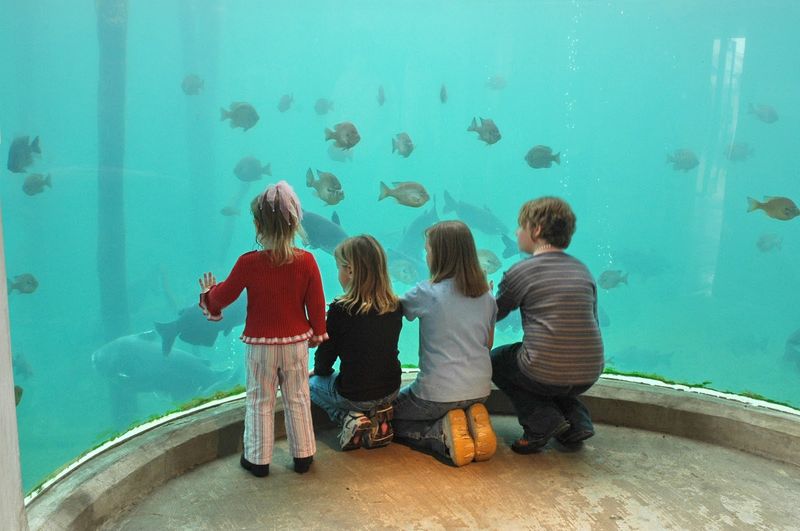 Athens – Texas Freshwater Fisheries Center (≈1.25–1.5 hrs)