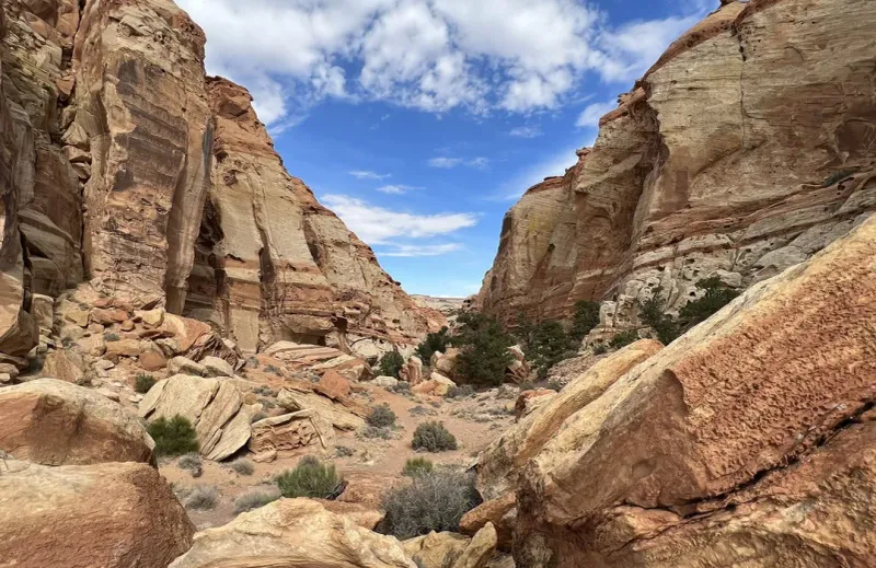 Cohab Canyon to Fruita Overlooks — Hidden Canyon to High Viewpoints