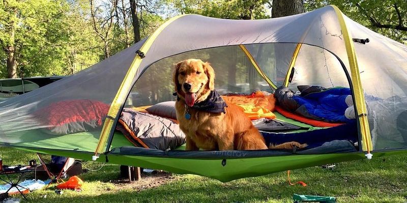 Kids, Pets & Special Conditions