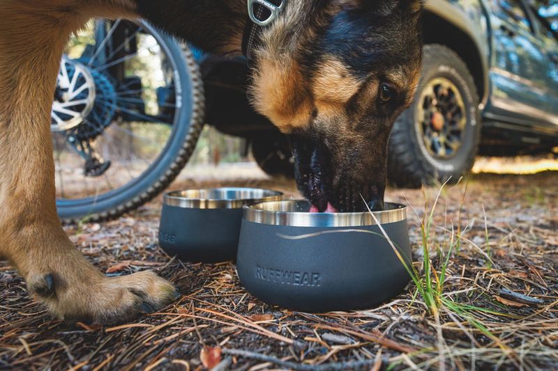 Insulated Travel Bowl