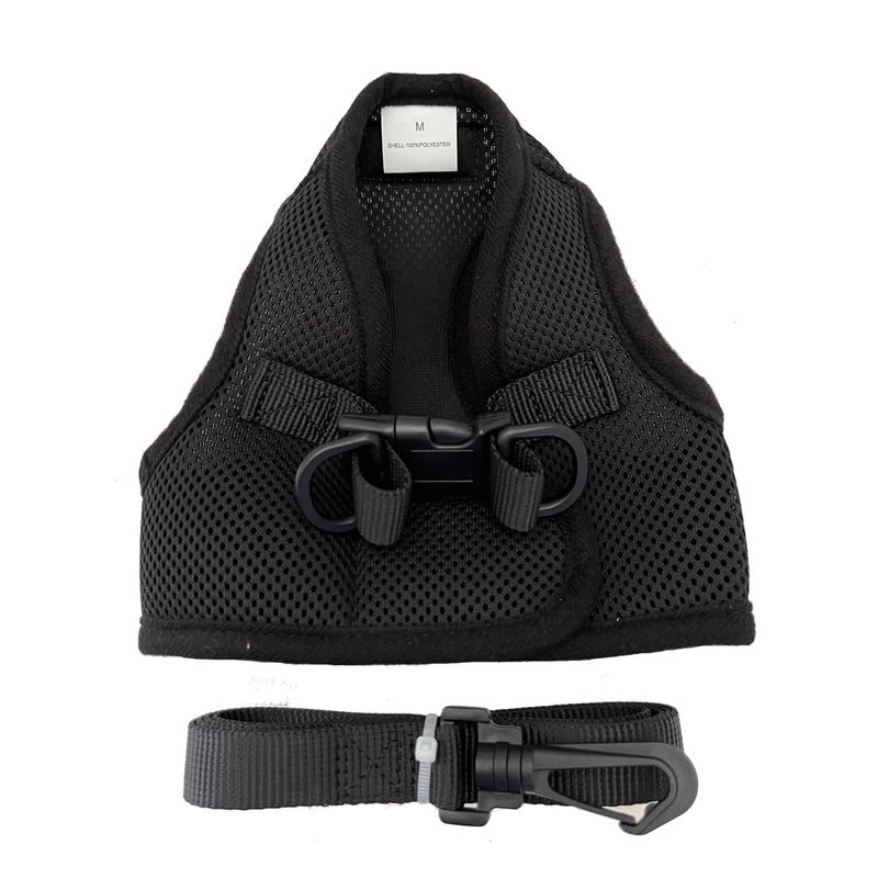 Airline-Compliant Short Leash