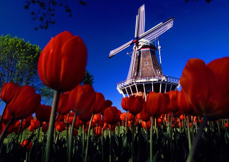 Windmill Island Gardens