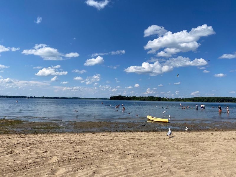 Splash into Summer at the Sandy Beach