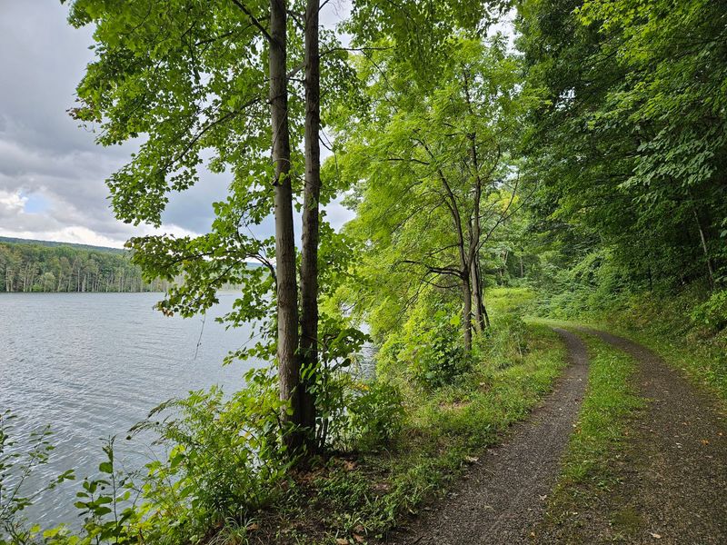 Explore Miles of Forest Hiking Trails