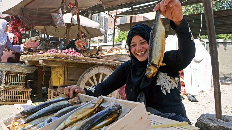 Fesikh (Fermented Egyptian Fish)