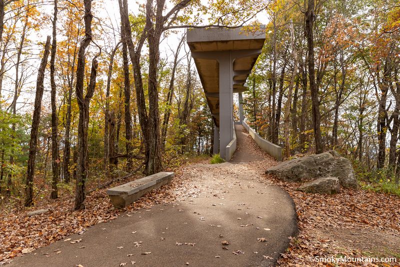Look Rock Tower Trail
