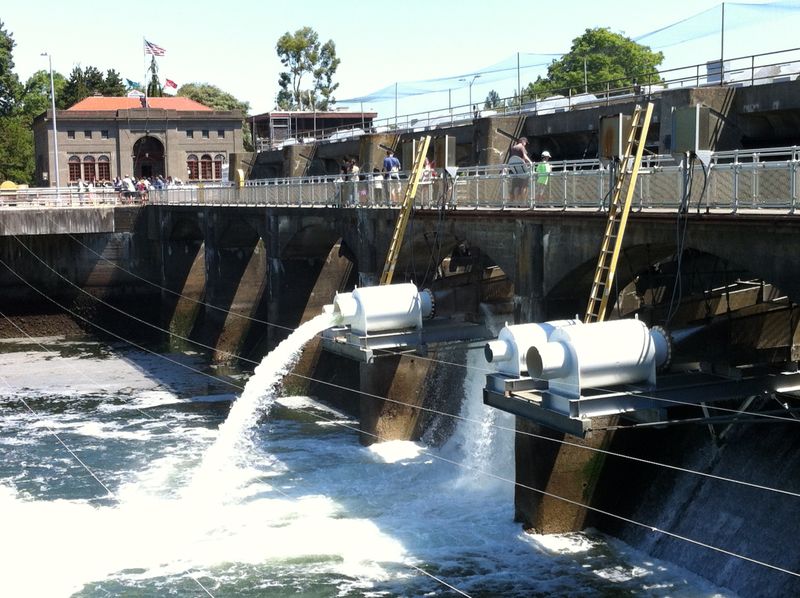 Explore the Ballard Locks and Fish Ladder