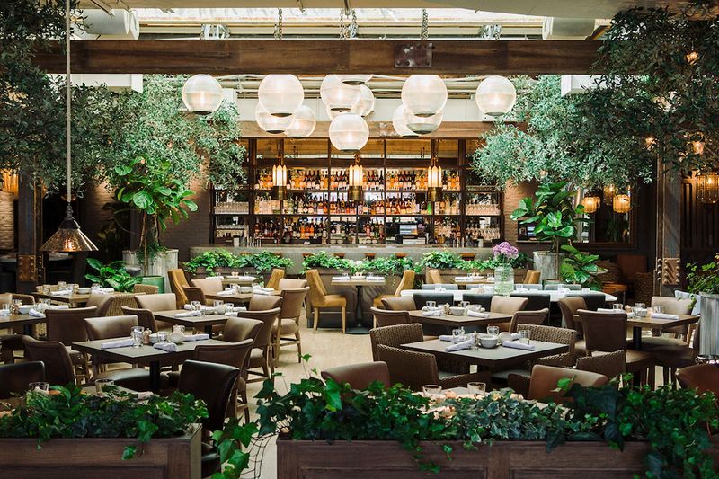Chicago, Illinois: Midwest Giant with Endless Culinary Innovation