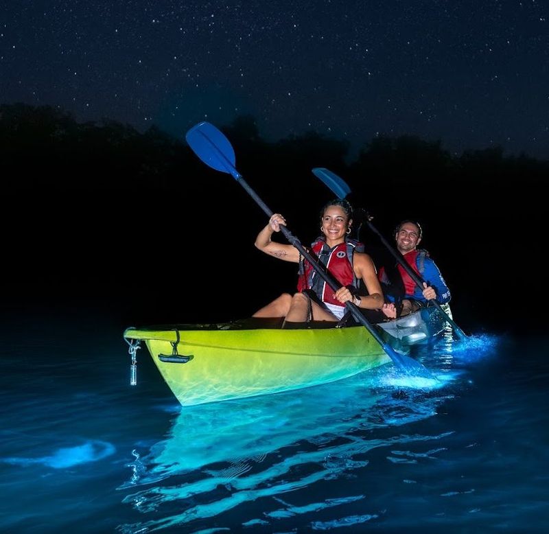 Kayak Puerto Rico's ultra-bright bio bay (Vieques)