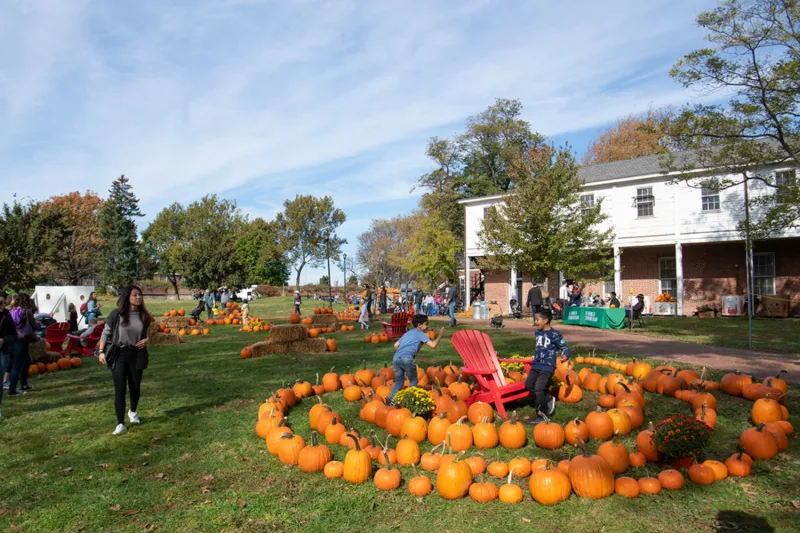 Pick pumpkins at Pumpkin Point on Governors Island