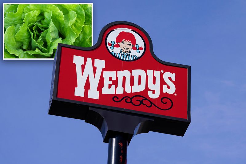 Wendy’s Lettuce (2022)
