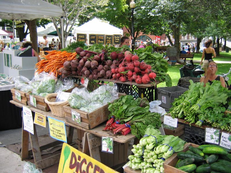 Burlington, Vermont: Sustainable Food Haven on Lake Champlain