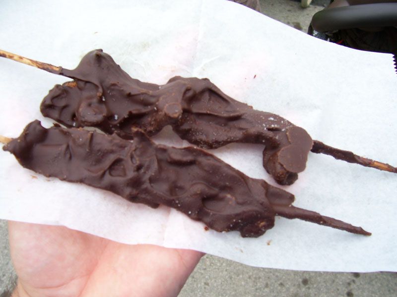 Chocolate-Covered Bacon on a Stick
