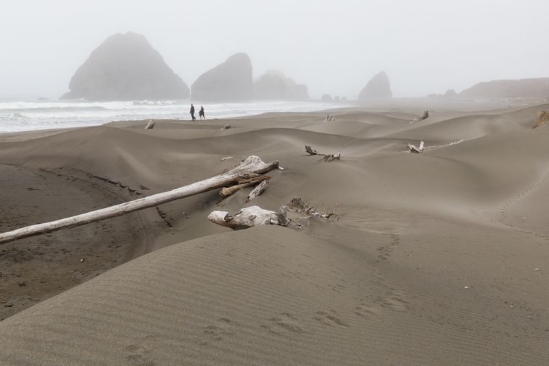 Driftwood Beach – Pistol River Area