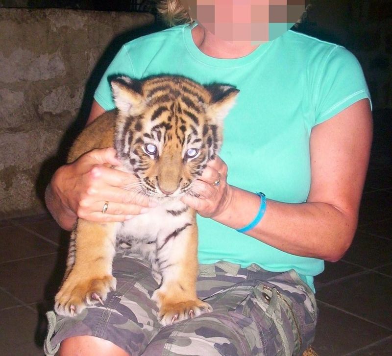 Report and Refuse Wildlife Exploitation