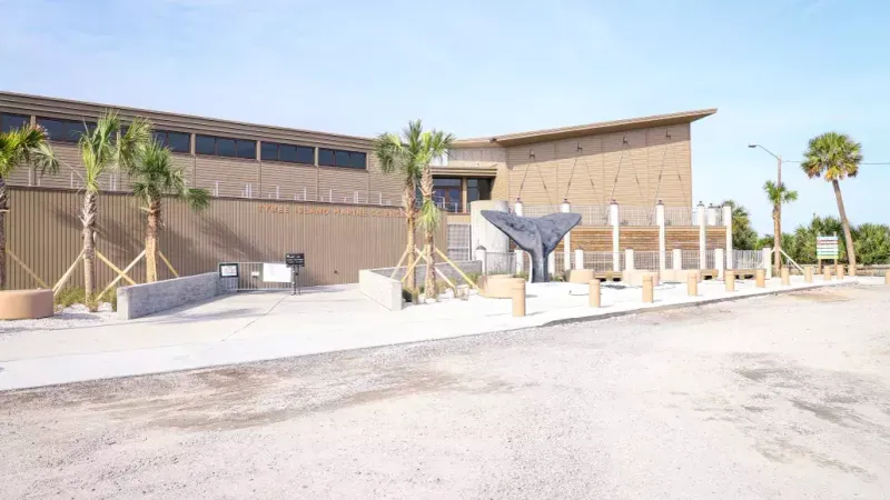 Beach and Learn at North Beach and the Marine Science Center