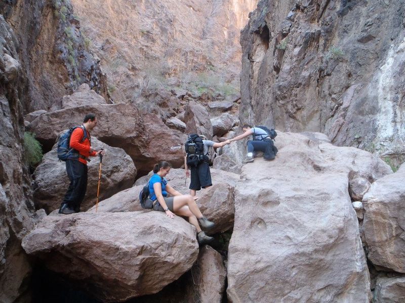 Pack for the Desert