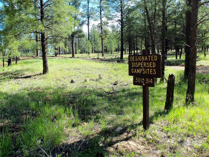 Pumphouse Wash (Forest Road 237)