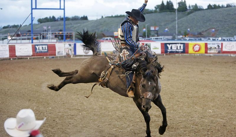 Experience the Cody Nite Rodeo
