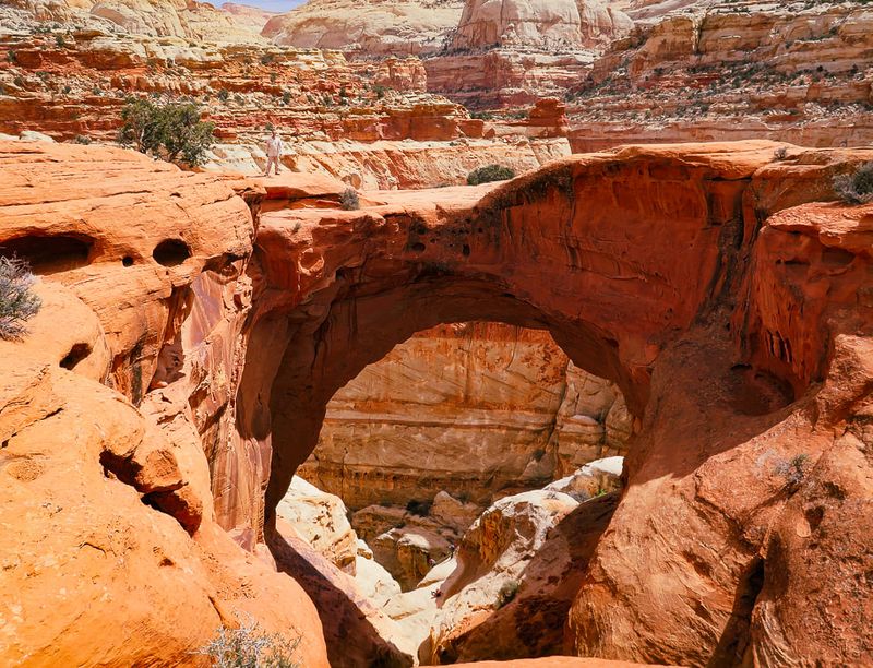 Cassidy Arch — Spectacular Arch Above the Canyon