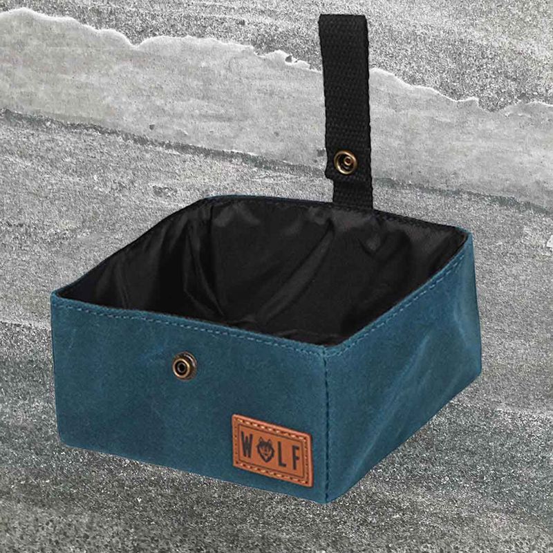 Pop-Up Canvas Bowl
