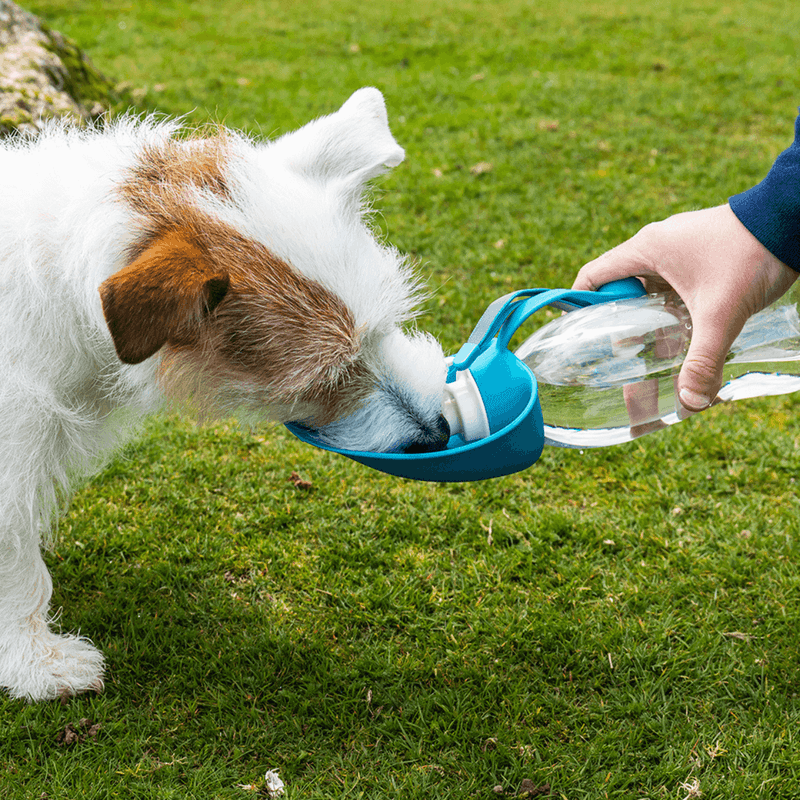 Portable Water Bottle & Bowl Combo