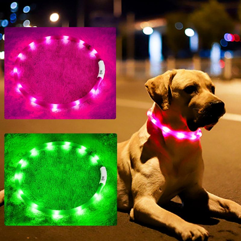 LED Safety Collar