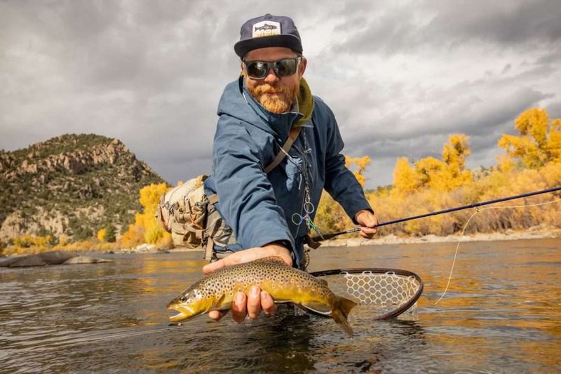 Gold Medal Trout Fishing