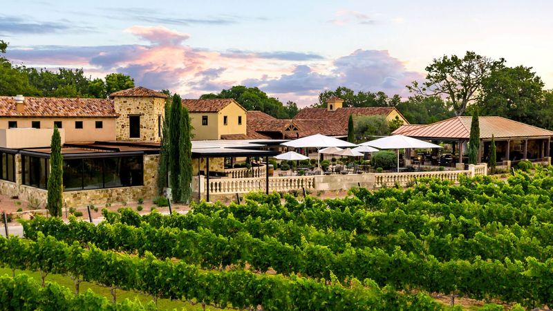 Wine Tasting Adventures in Texas Hill Country