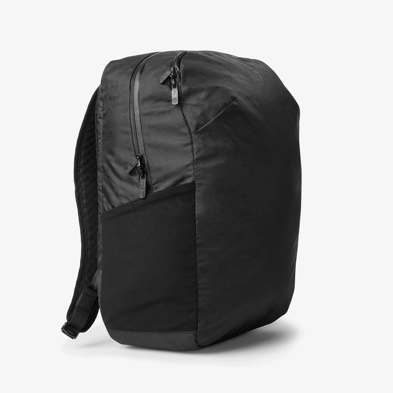 Daypack or Small Backpack