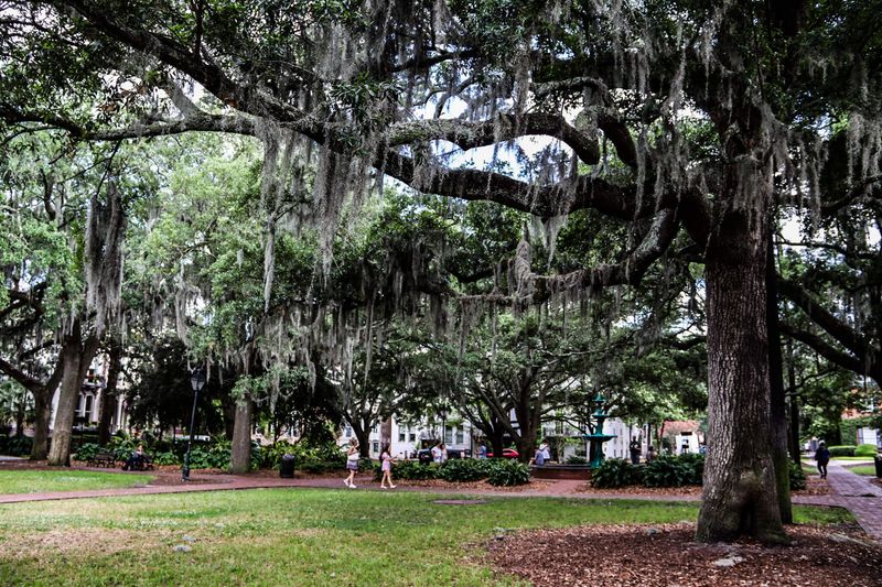 Savannah - Elegant Squares and Ghostly Tales