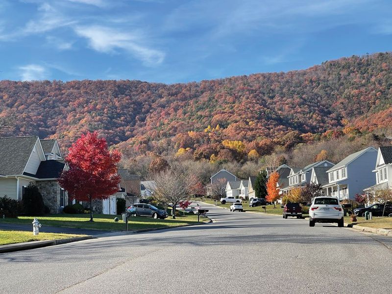 Relaxed Pace Creates True Retirement Bliss