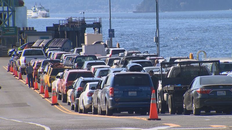 Ferry Patience Becomes a Survival Skill