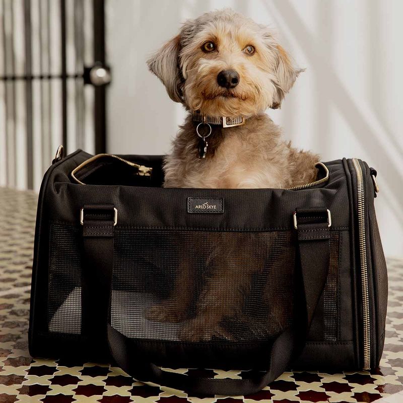 Airline-Approved Pet Carrier