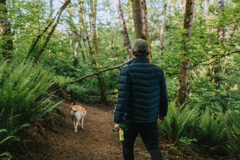 Forest Park Trails – Open (leashed dogs permitted)