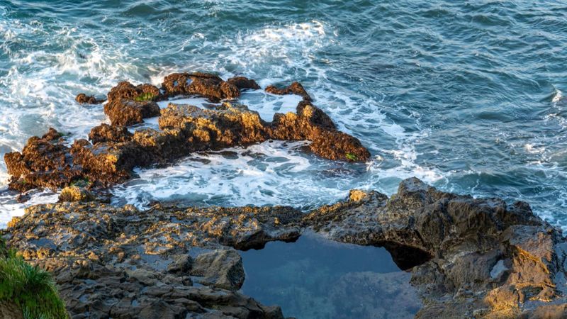 Heisler Park & Tidepools (Laguna Beach)