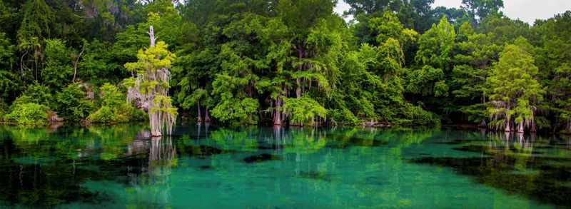 Nature's Playground: Merritt's Mill Pond Adventures